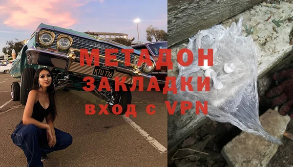 индика Ладушкин
