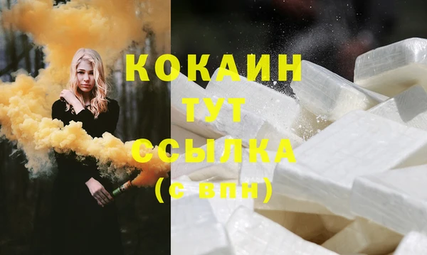 индика Ладушкин
