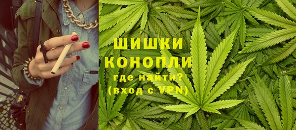 индика Ладушкин