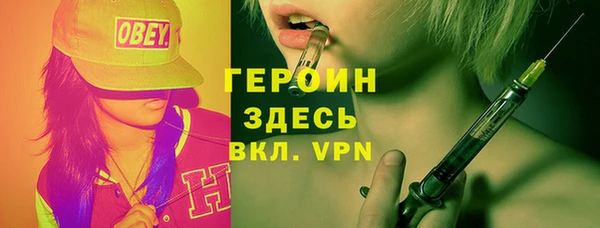 индика Ладушкин