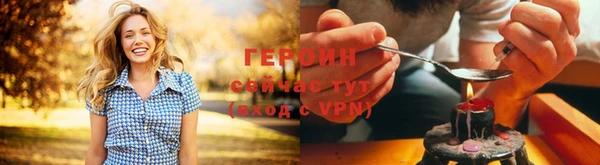 индика Ладушкин