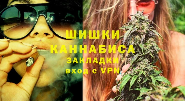 индика Ладушкин