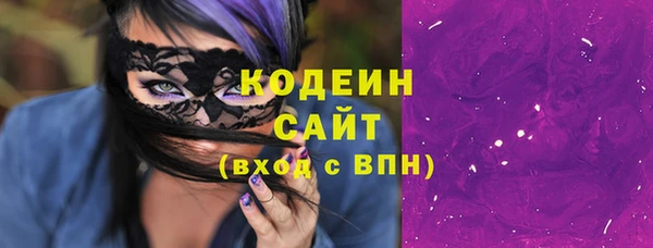 индика Ладушкин