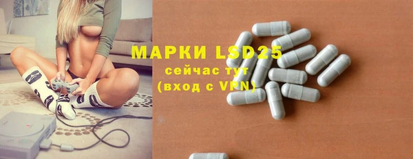 молекула духа Лагань