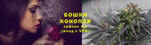 молекула духа Лагань