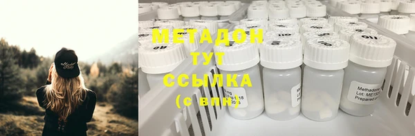 индика Ладушкин