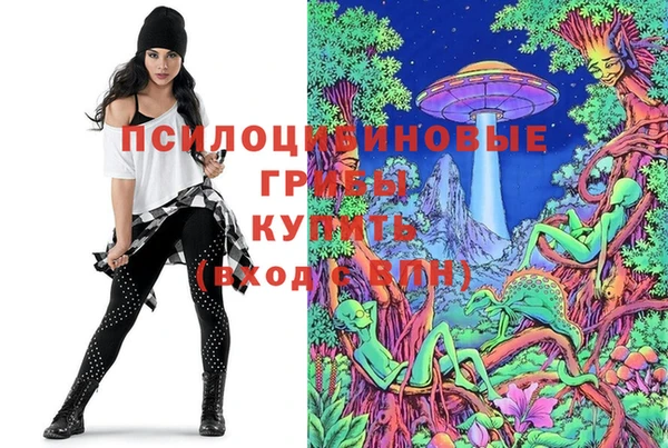 индика Ладушкин