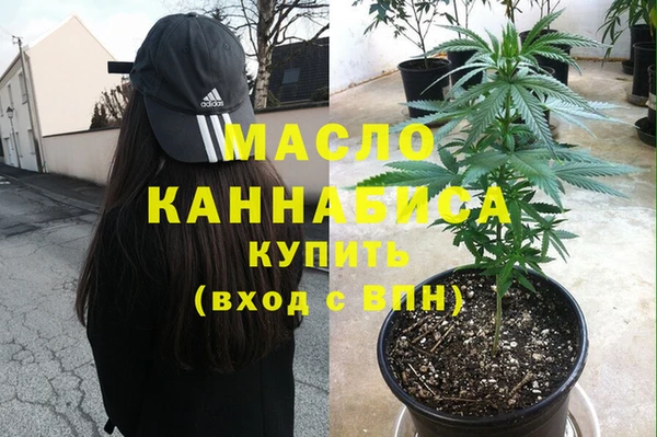 индика Ладушкин