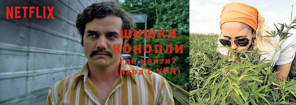 гидропоника Лабытнанги