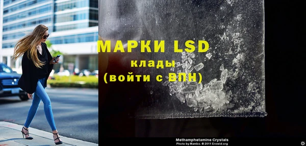 индика Ладушкин