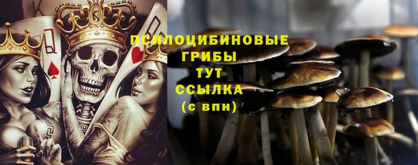 молекула духа Лагань