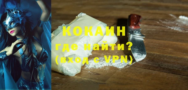 индика Ладушкин