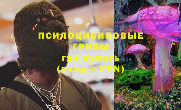 молекула духа Лагань