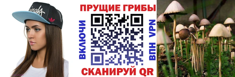 Галлюциногенные грибы мицелий  даркнет сайт  Строитель 